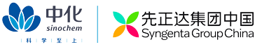 中化云龍有限公司網(wǎng)站